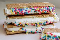 Birthday Cake Frozen Protein S’mores Recipe