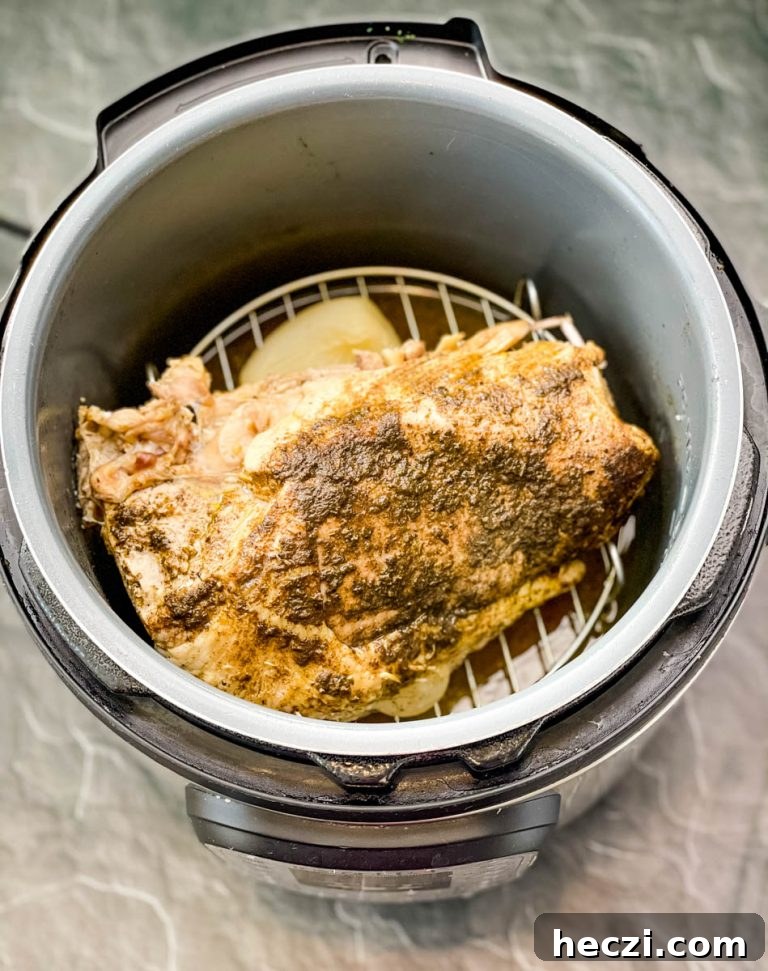 cooked turkey breasts with gravy