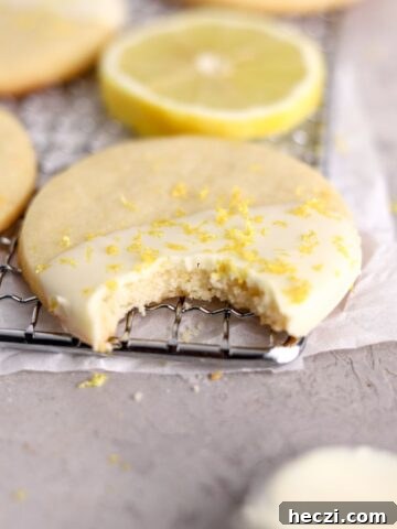 Lemon cookies and a lemon slice on a rack.