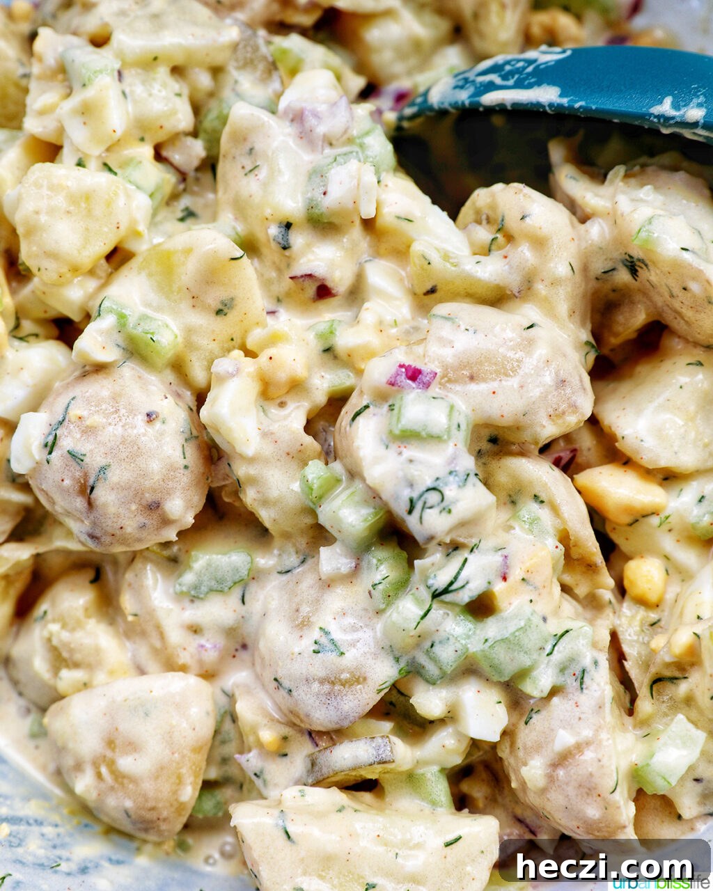 Creamy Dill Pickle Potato Salad Recipe 12 dill pickle potato salad.