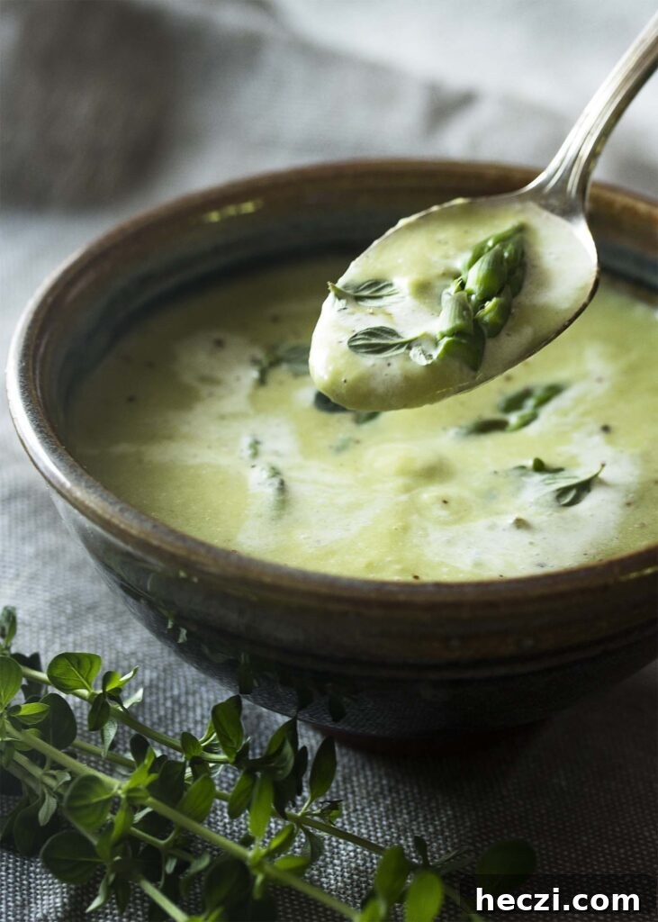 A spoon full of soup lifting out of a bowl. Close up of an asparagus tip and thyme leaves.