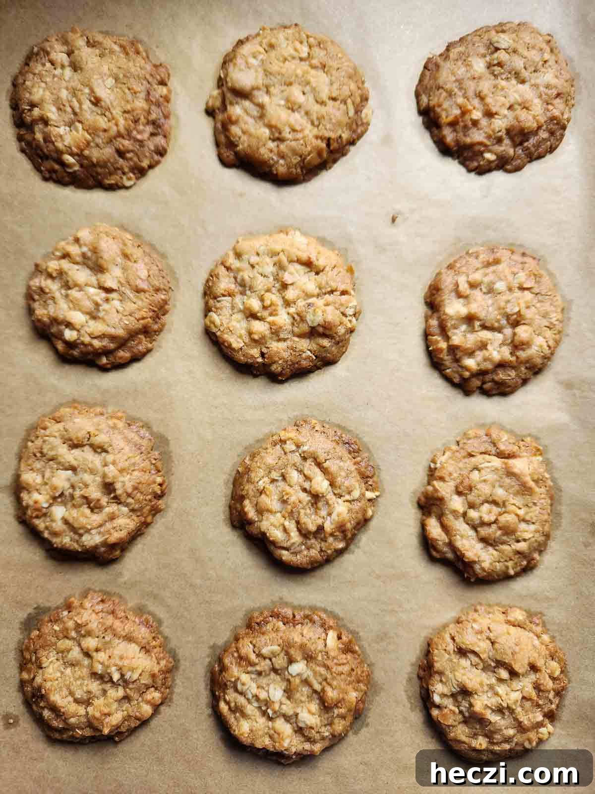 Coconut Oatmeal Cookie Recipe — Chewy Coconut Oatmeal Cookies 7 Overhead of cooked coconut oatmeal cookies on a baking sheet.