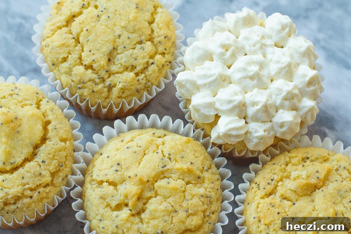 Lemon Poppy Seed Muffins Recipe — Moist, Zesty Homemade Muffins 2 Lemon Poppy Seed Muffins