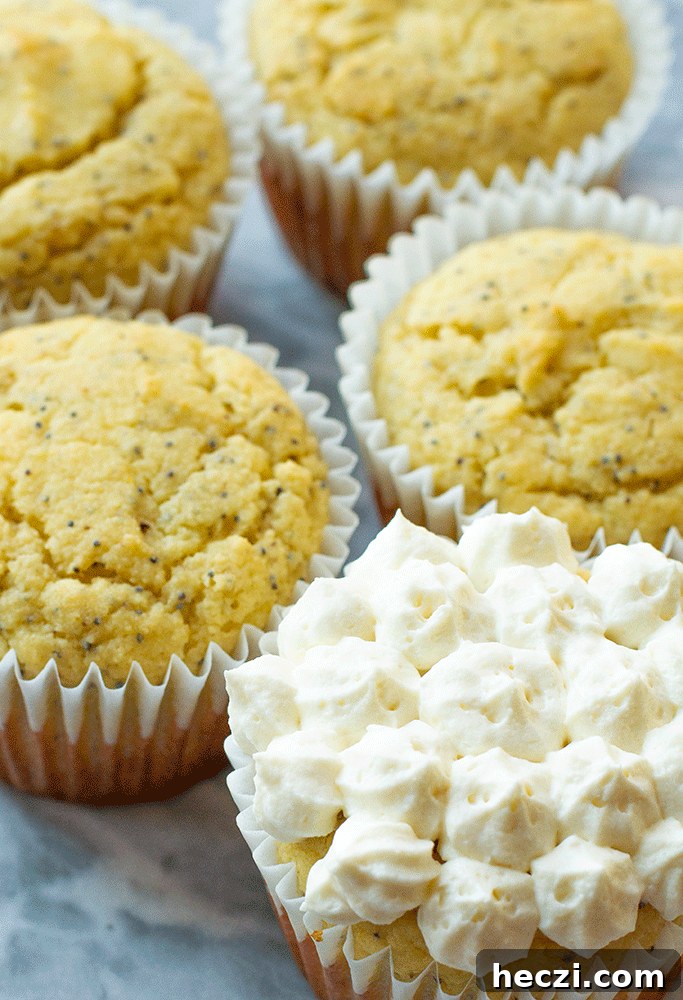 Lemon Poppy Seed Muffins