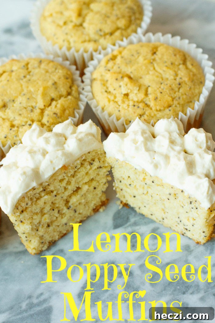 Lemon Poppy Seed Muffins Recipe — Moist, Zesty Homemade Muffins 5 Lemon Poppy Seed Muffins