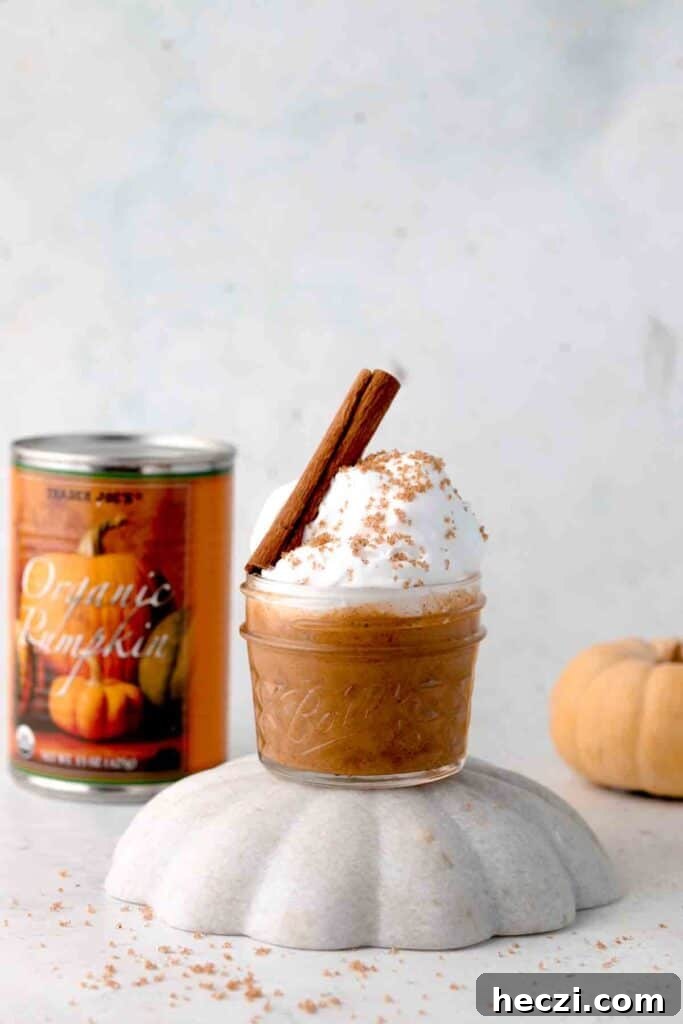 vegan pumpkin mousse 6 pretty picture of dairy free pumpkin mousse