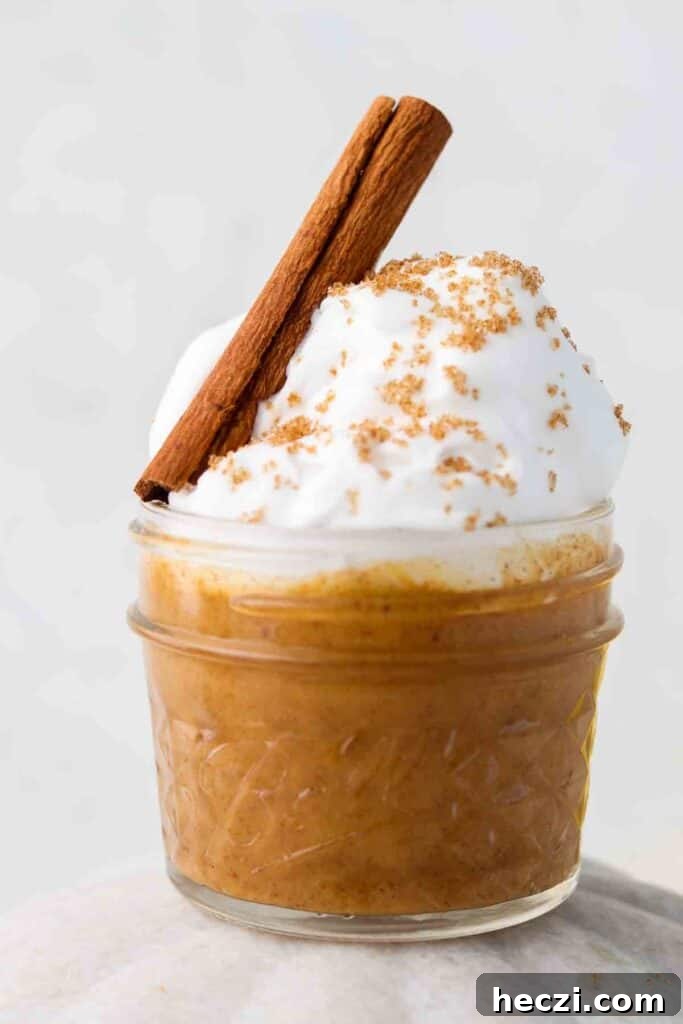 vegan pumpkin mousse 7 close up photo of dessert
