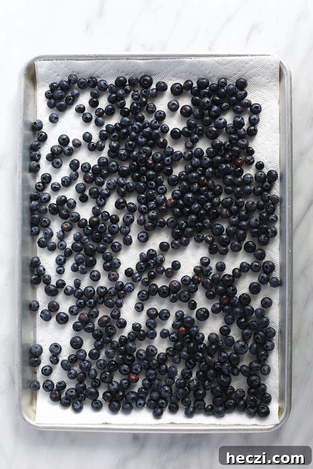 Blueberries on a baking sheet blueberries on baking sheet