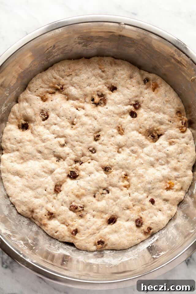 the dough for cinnamon raisin no knead bread