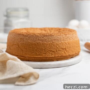 Italian sponge cake on a marble board.