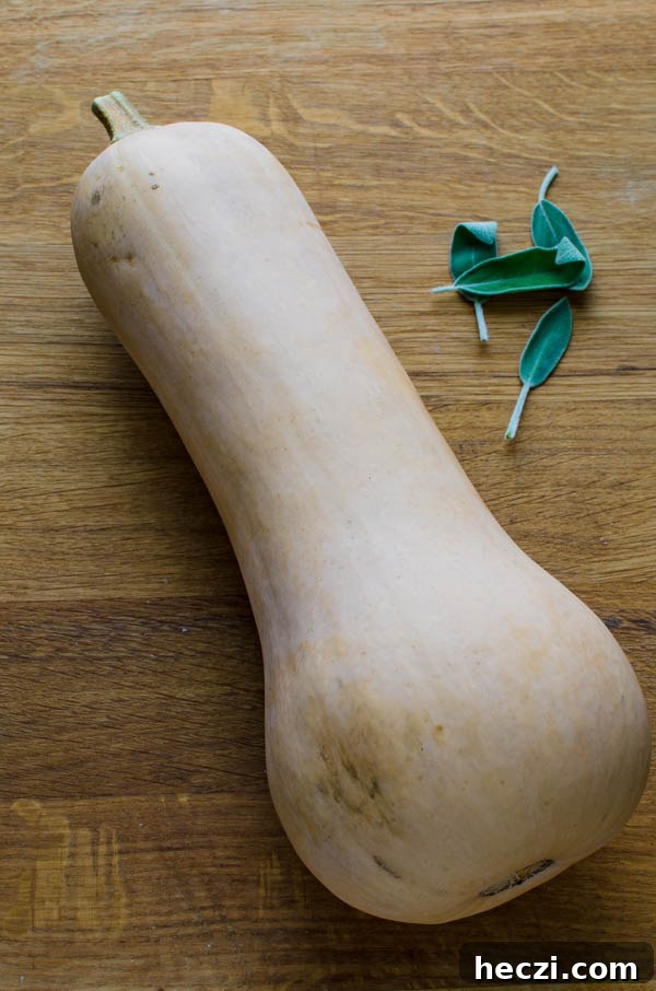 BUTTERNUT SQUASH.