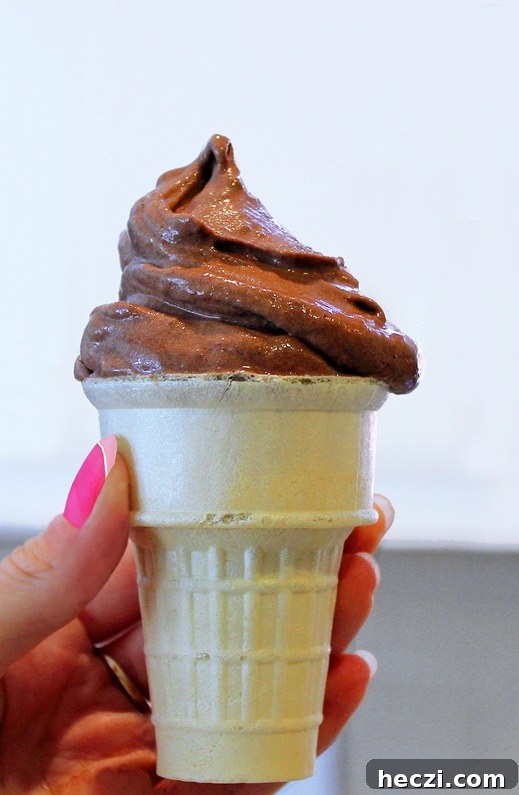 chocolate banana soft serve chocolate banana soft serve