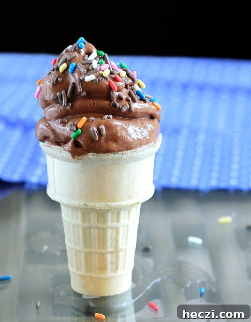 chocolate soft serve chocolate soft serve