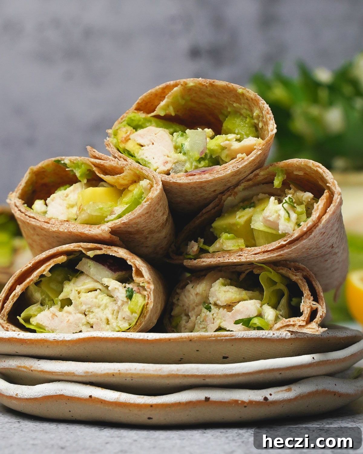 27 High-Protein Cold Lunch Ideas for Work and On-the-Go 22 Chicken Avocado Wrap