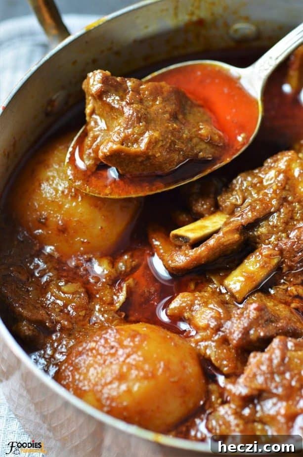 Aloo Gosht: Tender Lamb Curry with Potatoes Recipe 3 Aloo Gosht pakistani style in a silver spoon