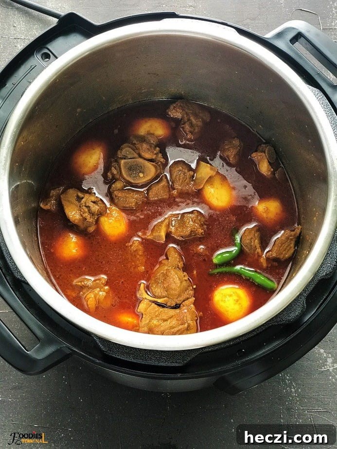 Aloo Gosht: Tender Lamb Curry with Potatoes Recipe 5 Degi aloo gosht in instant pot with goat meat and potatoes