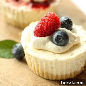 No-bake Dairy-free Cheesecake