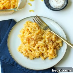 Gluten-free Dairy-free Macaroni and Cheese