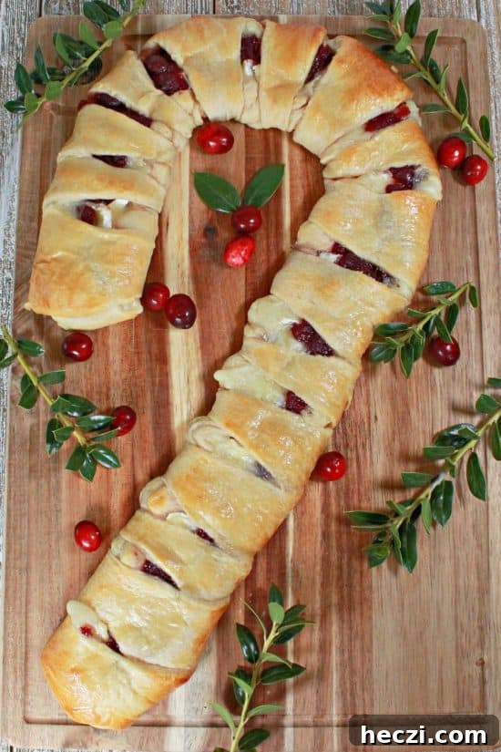 Cranberry Brie Crescent Ring — Holiday Appetizer Recipe 3 An appetizer you can customize into shapes, like a candy cane or wreath, has sweet and savory flavors to compliment any meal.