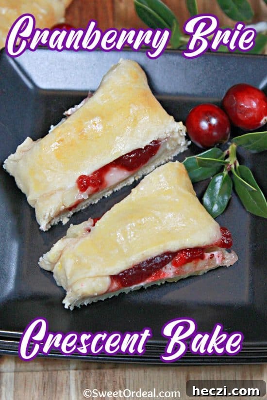 Cranberry Brie Crescent Ring — Holiday Appetizer Recipe 5 A sweet-tart filling from cranberries and the savory brie cheese is wrapped in a buttery flaky crust.