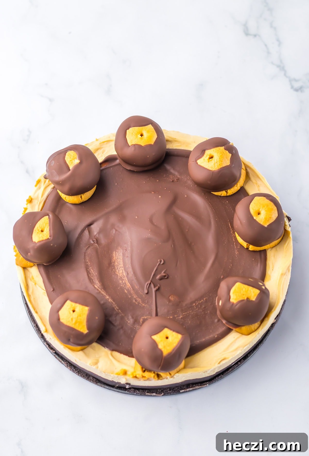 buckeye cheesecake with buckeyes on top