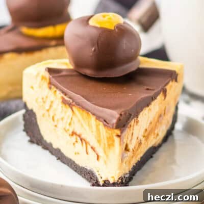 Buckeye Cheesecake feature