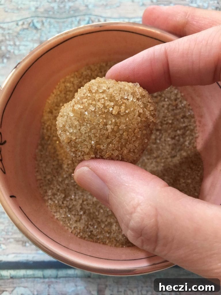 gluten free snickerdoodle cookie recipe that's also heal your headache #hyh migraine diet safe