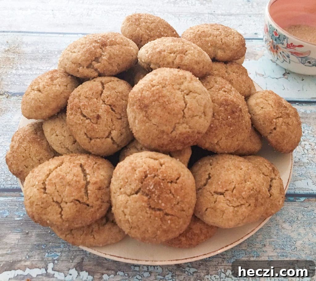 gluten free snickerdoodle cookie recipe that's also heal your headache #hyh migraine diet safe