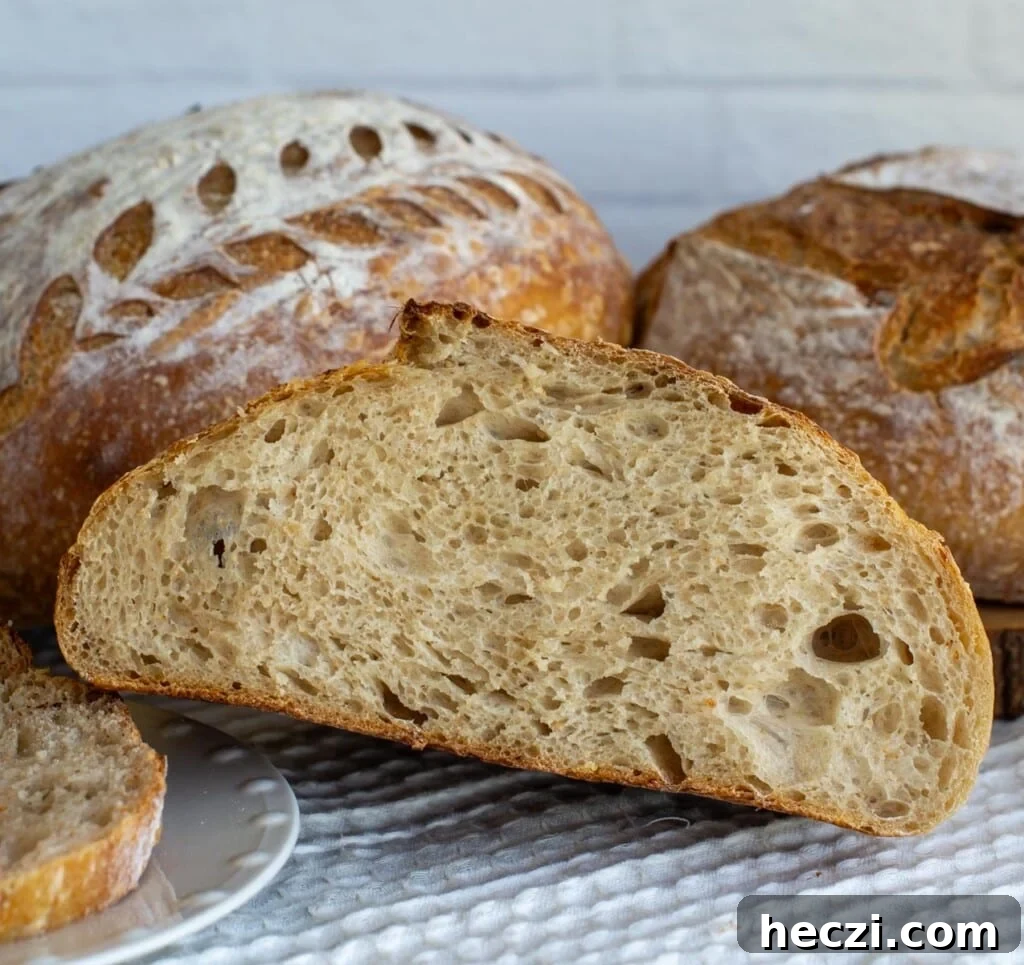 Top Gifts for Sourdough Bakers: 30+ Ideas They'll Love 12 Sliced sourdough bread showing airy crumb.