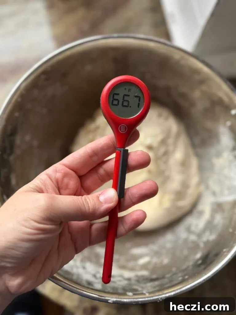Top Gifts for Sourdough Bakers: 30+ Ideas They'll Love 18 ThermoPop thermometer for baking.