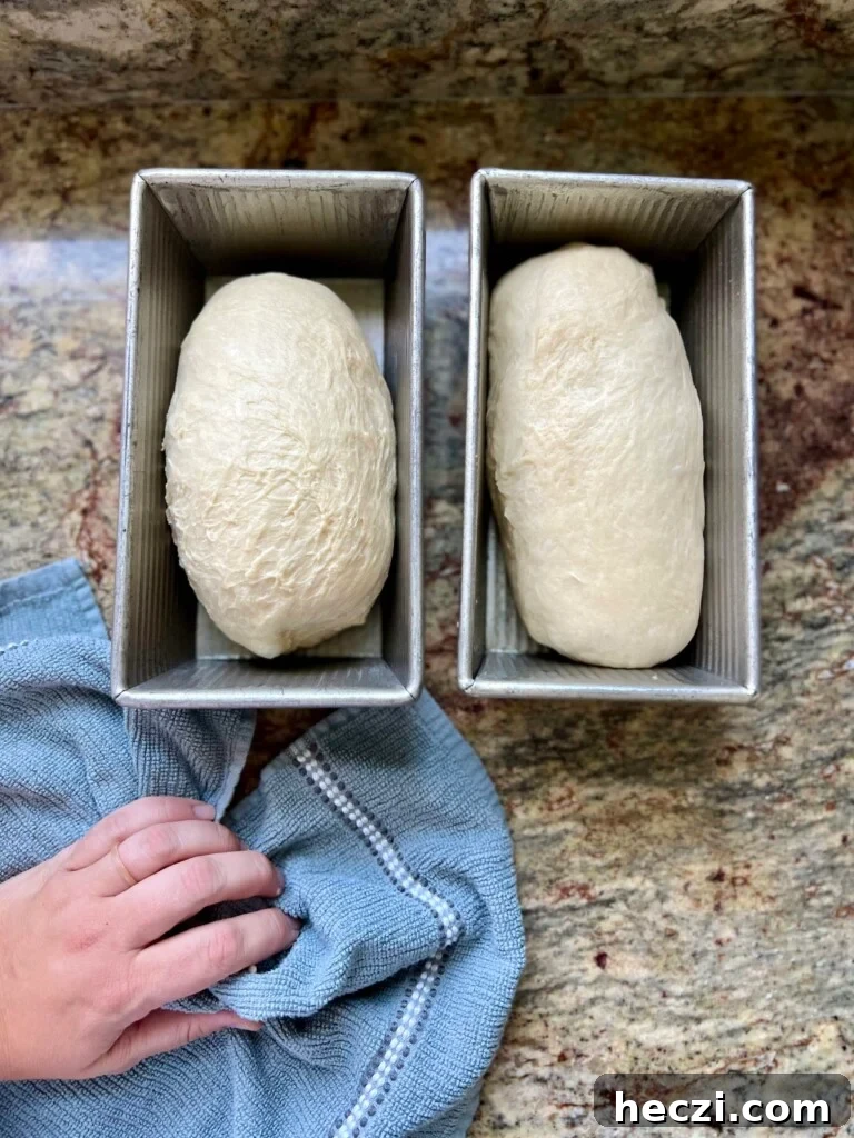 Top Gifts for Sourdough Bakers: 30+ Ideas They'll Love 20 Two loaf pans filled with sourdough bread dough ready to bake.