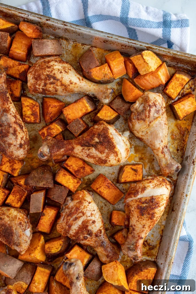 Sheet Pan Chicken Legs with Roasted Sweet Potatoes 2 A sheet pan with baked chicken legs and sweet potato chunks covered in seasoning.
