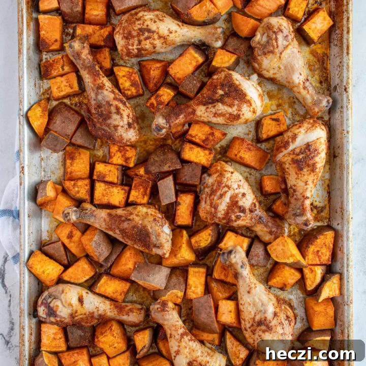Overhead view of a sheet pan with baked chicken legs and sweet potatoes all covered in seasoning.