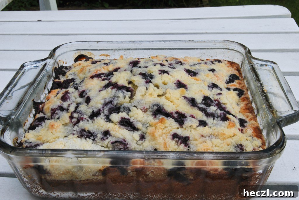 Blueberry coffee cake whole Blueberry Coffee Cake