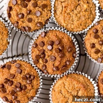 Moist gluten-free almond flour banana muffins with chocolate chips.