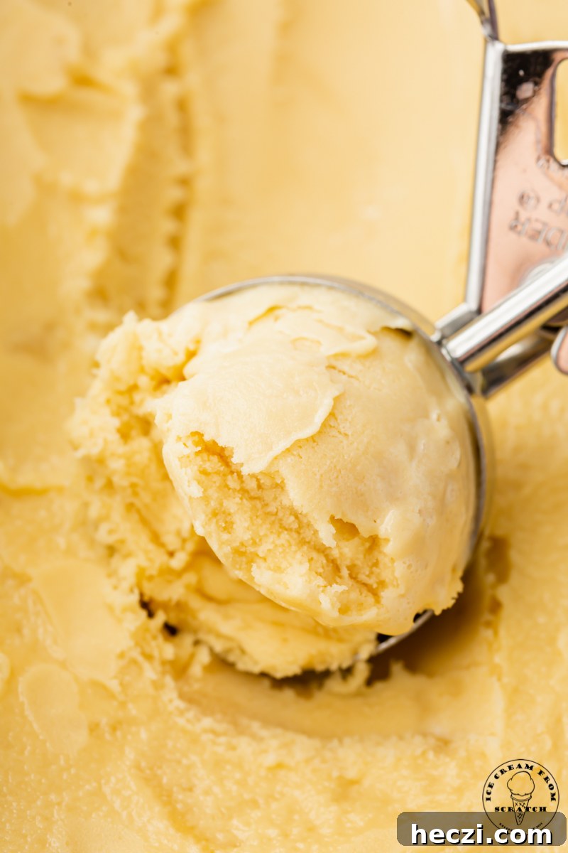 Creamy Oat Milk Ice Cream Recipe — Dairy-Free Frozen Dessert 5 closeup view of homemade oat milk ice cream, being scooped with a metal ice cream scooper.