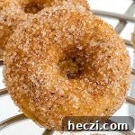 Pumpkin Cinnamon Sugar Donuts - Featured Image