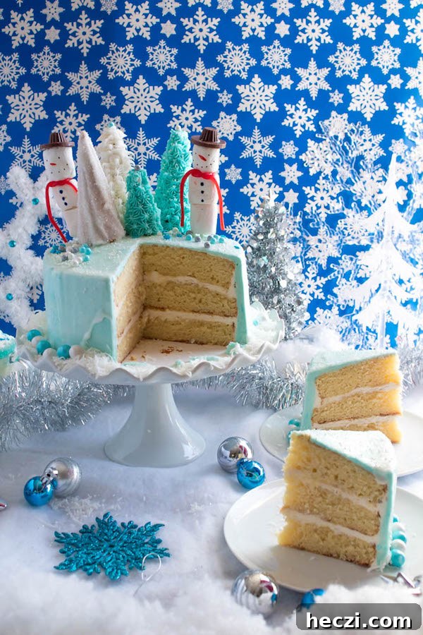 Final plated Winter Wonderland Cake