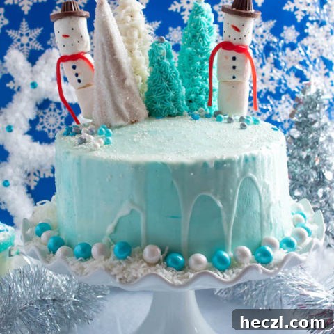 Winter Wonderland Cake hero image
