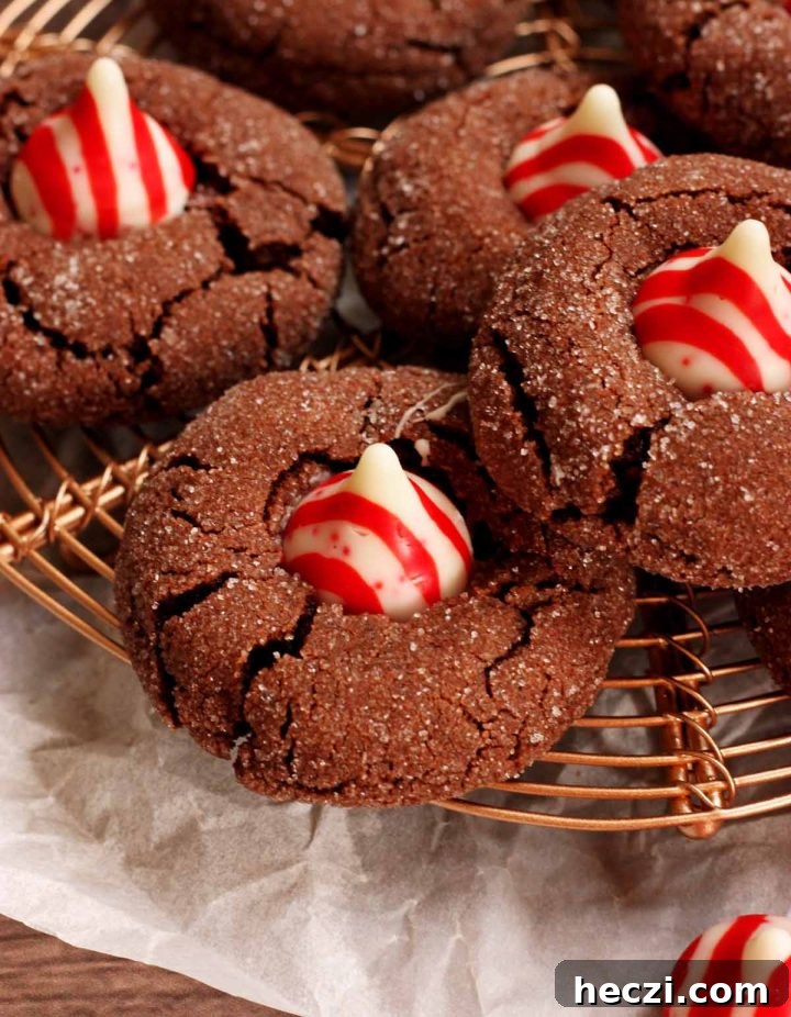 chocolate mint blossom cookies