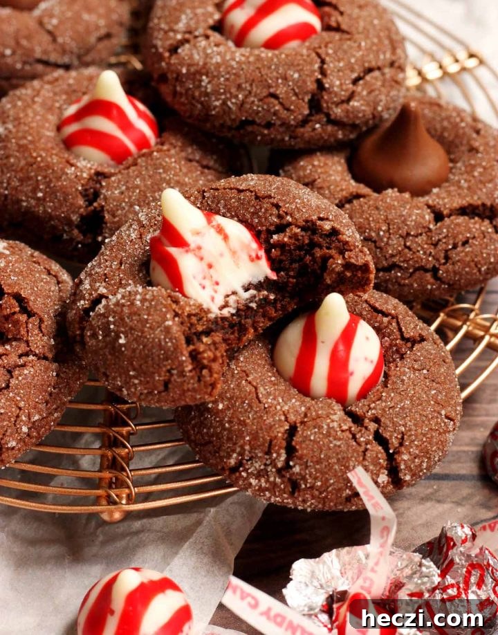 chocolate mint blossom cookies with bite