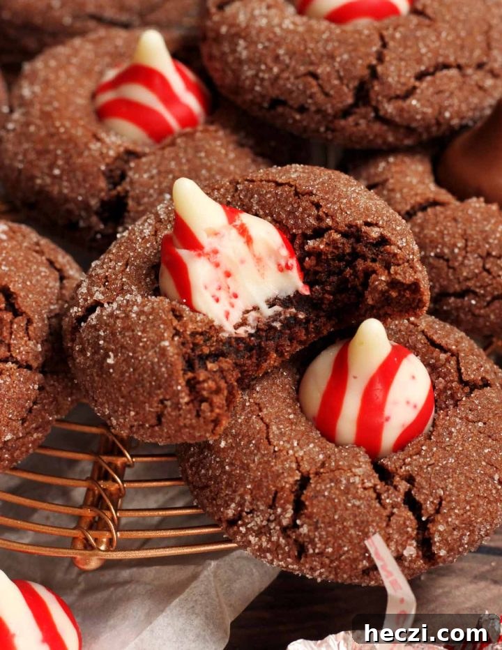 chocolate mint blossom cookies with bite