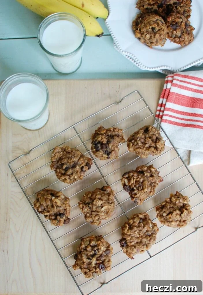 Banana Muesli Breakfast Cookies - a healthy snack