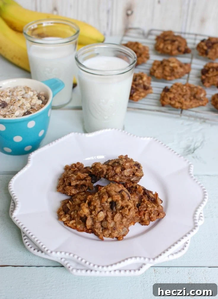 Banana Muesli Breakfast Cookies - a healthy treat