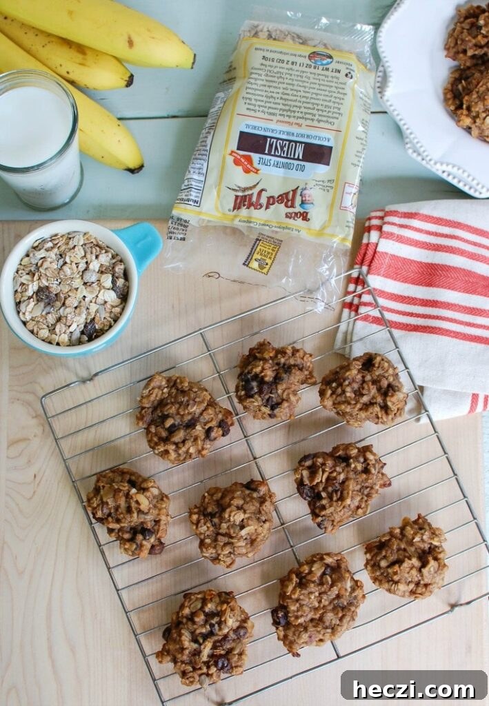 Banana Muesli Breakfast Cookies - dessert never tasted so good