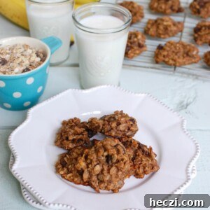 Banana Muesli Breakfast Cookies - a healthy treat