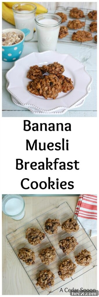Banana Muesli Breakfast Cookies - so good
