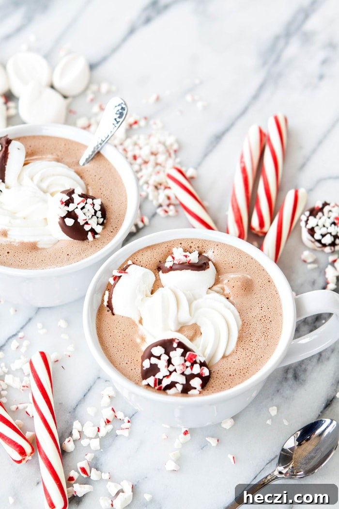 two mugs of spiked hot chocolate topped with marshmallows and whipped cream