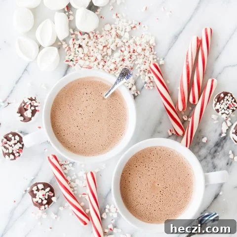 Spiked Peppermint Mocha Hot Chocolate