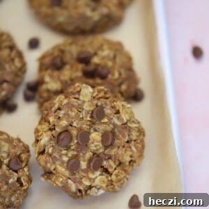 A tray of gluten free no bake cookies with chocolate chips.